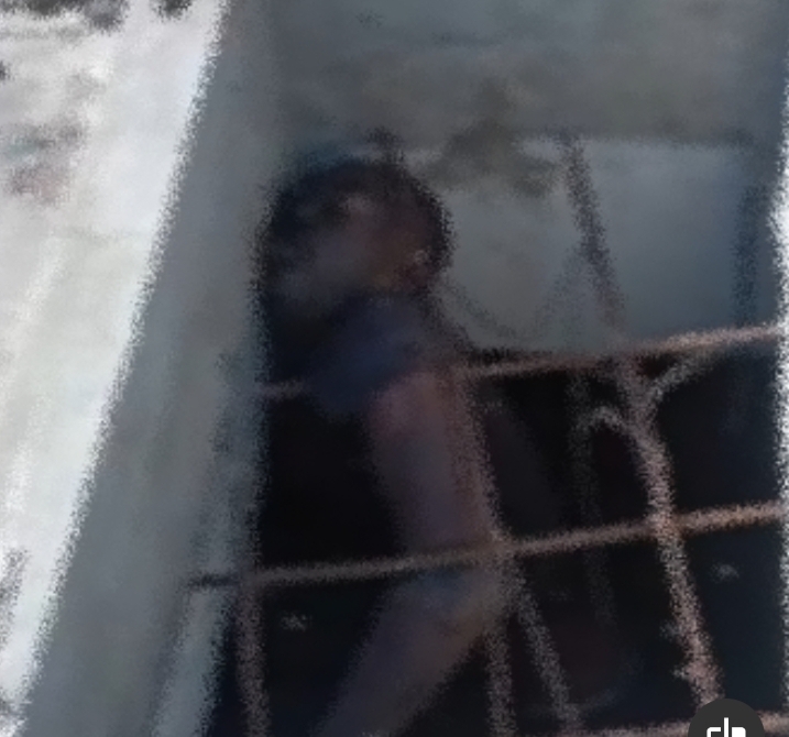 Screenshot_20230108-111807_InShot