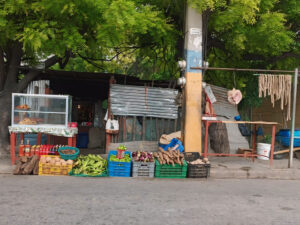 InShot_20240706_165253361