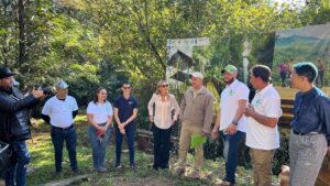 WhatsApp Image 2025-01-25 at 01.27.22