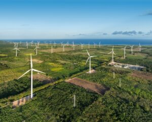 Screenshot_20250212_173957_Gmail