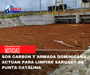 SOS Carbon y Armada Dominicana actúan para limpiar sargazo de Punta Catalina