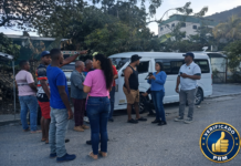 Polo se tiñe de azul y blanco: Danilsa Cuevas moviliza el PRM en exitosa jornada de verificación