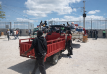 Caos y Polvareda en el Mercado Fronterizo de Pedernales: Un Desafío para la Salud y el Comercio