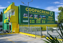 ¡Freno seco! IDECOOP suspende asambleas de COOPACRENE por lío judicial y supuesta exclusión de socios